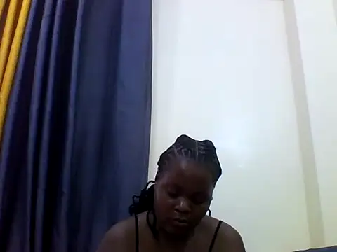 ladar webcam