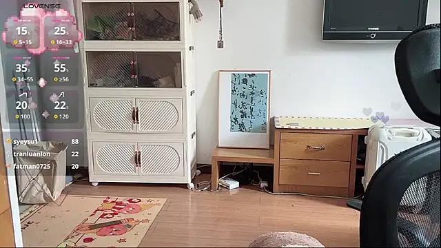 umi-dd webcam