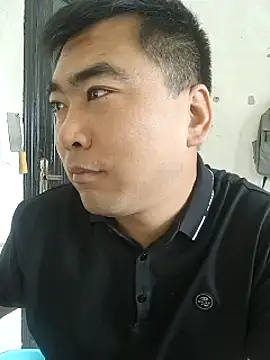wz9500 webcam