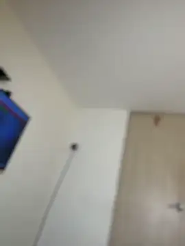 selenne_schmitt webcam