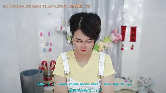 Fan_ting webcam