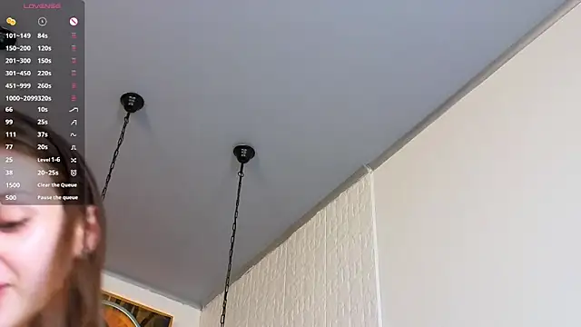 LinnHigh webcam