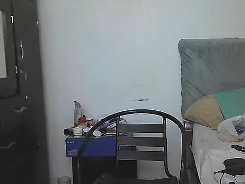 IronSideBear webcam