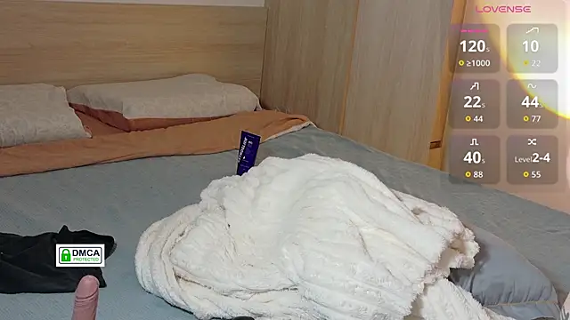 RedFires webcam