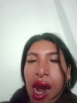 MeelFox webcam