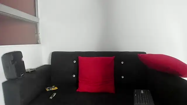 Onion_knight webcam