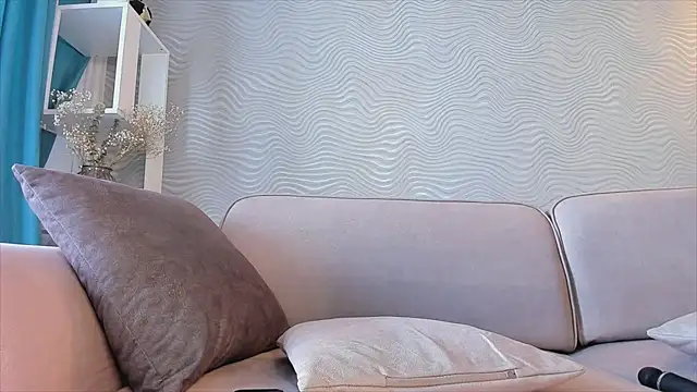 SageFrommer webcam