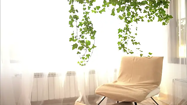 TheMaddisonShow_ webcam