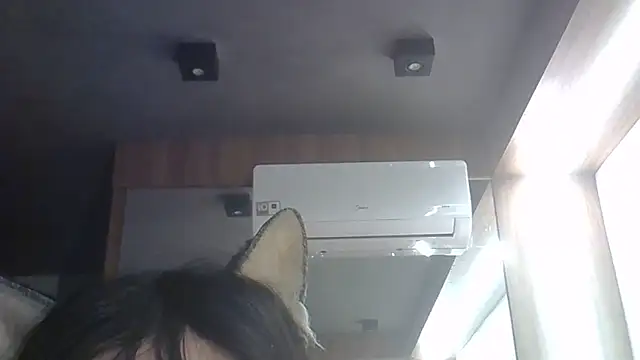 SkinnyKitten webcam