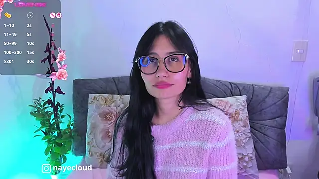 NayeCloud webcam