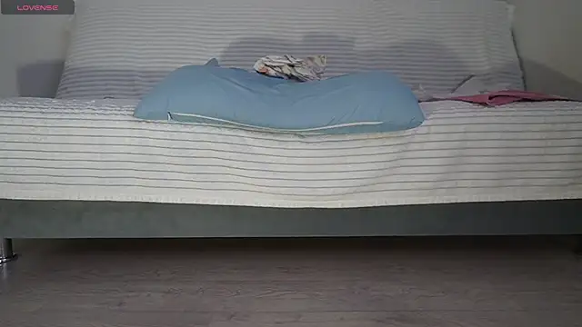 Fecvht45 webcam
