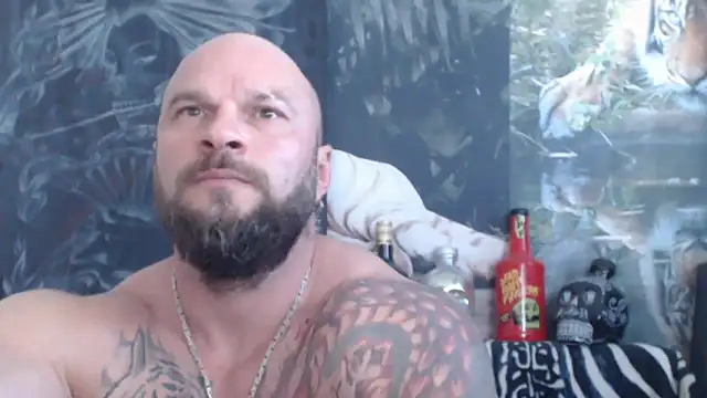 viking_30 webcam