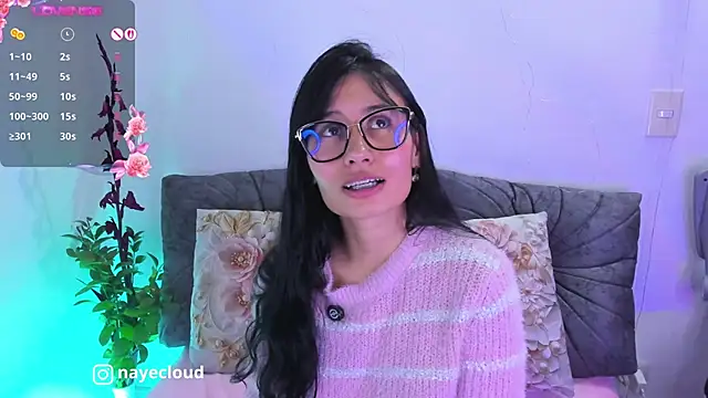 NayeCloud webcam