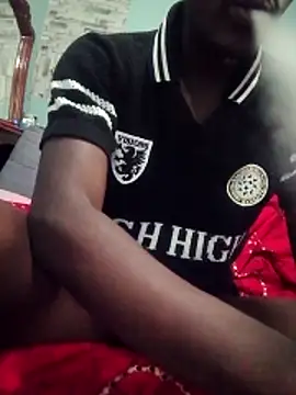 DigCrok webcam