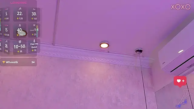 MoliBunny webcam