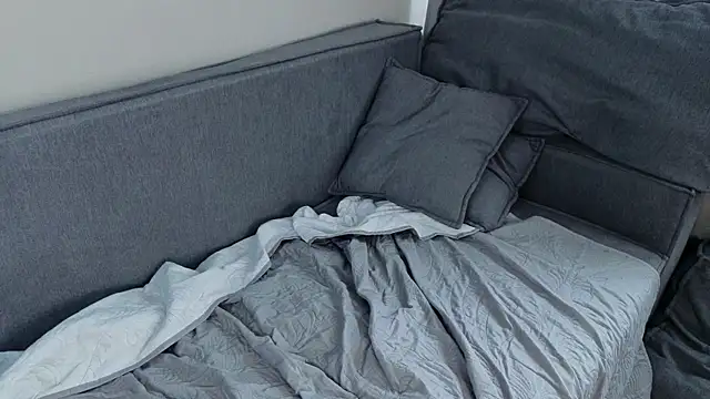 EvaVanta webcam