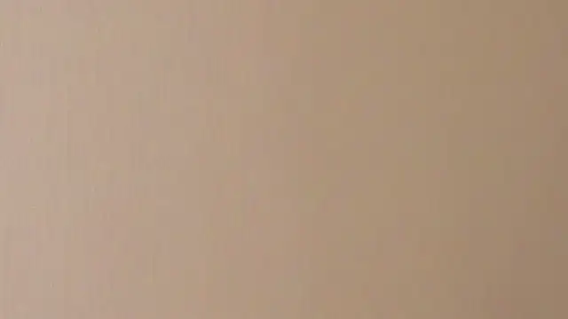 EvaJustForYou webcam