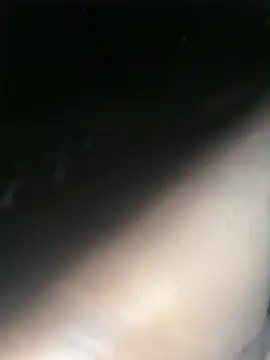 StuntedRime webcam