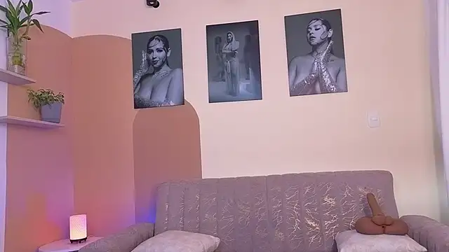 ToriCrossX webcam