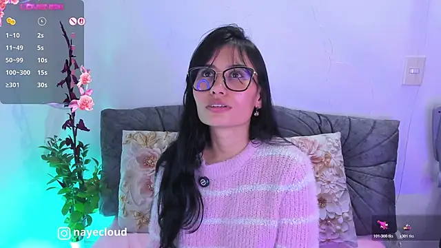 NayeCloud webcam