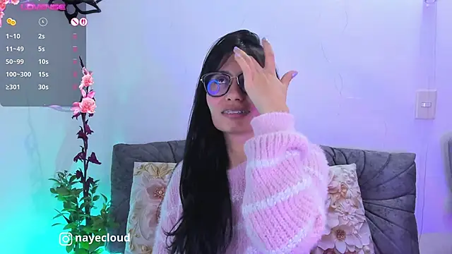 NayeCloud webcam