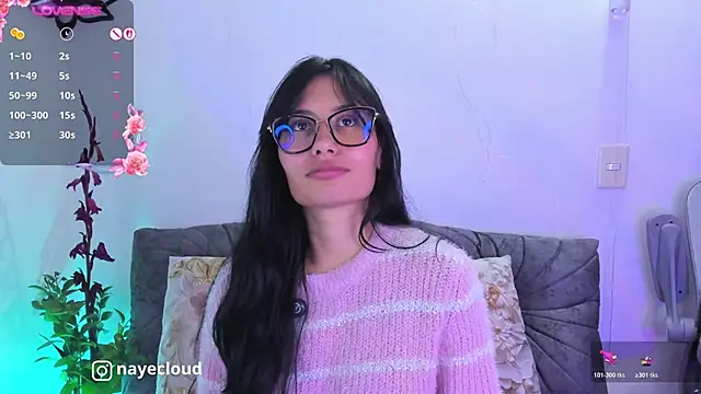 NayeCloud webcam