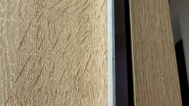 NoFace_Model webcam