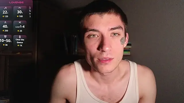 silly_cybin webcam