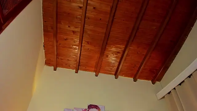 jordan_mm420 webcam