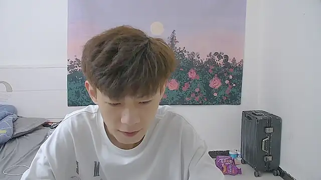 paofu-001 webcam