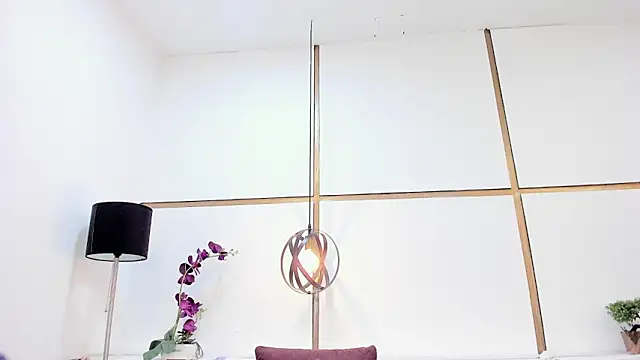 Rynnaa webcam