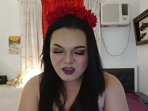 Sileves webcam