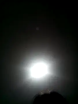 wbrankinha webcam