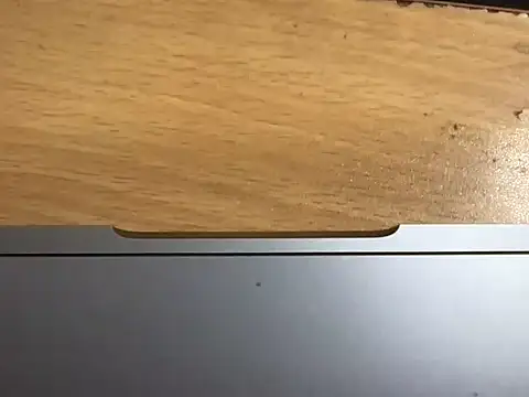 Maanvi_Gill webcam