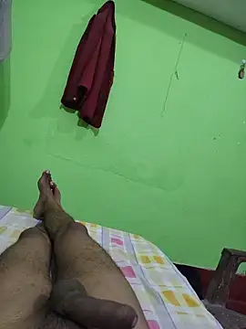 shandy__ webcam
