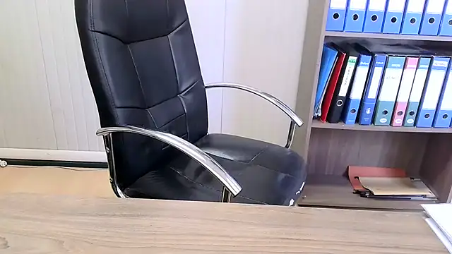 Evasionee webcam