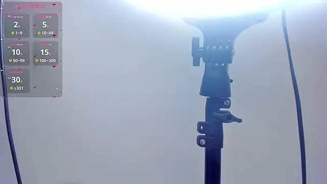 reshi_hevss webcam