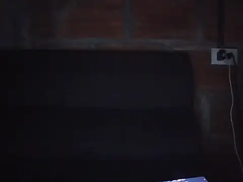 perloon webcam