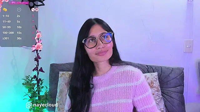 NayeCloud webcam