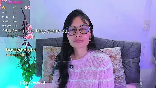 NayeCloud webcam