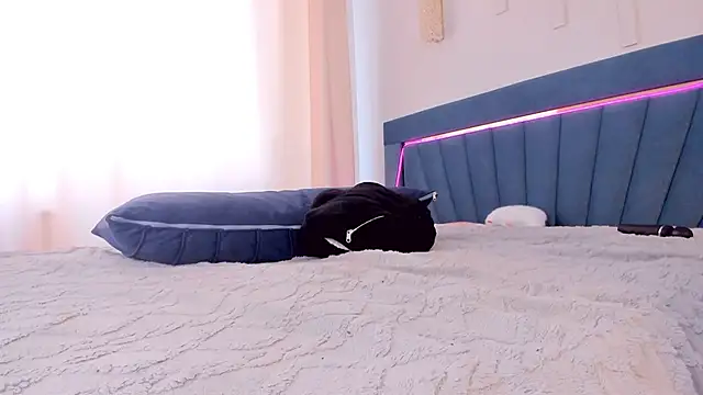kok0mi