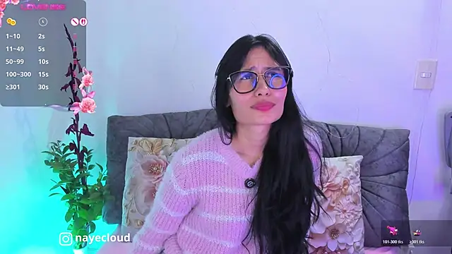 NayeCloud webcam