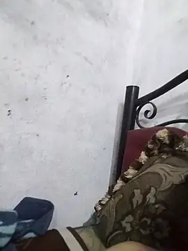 salimbasha webcam