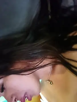 MeelFox webcam