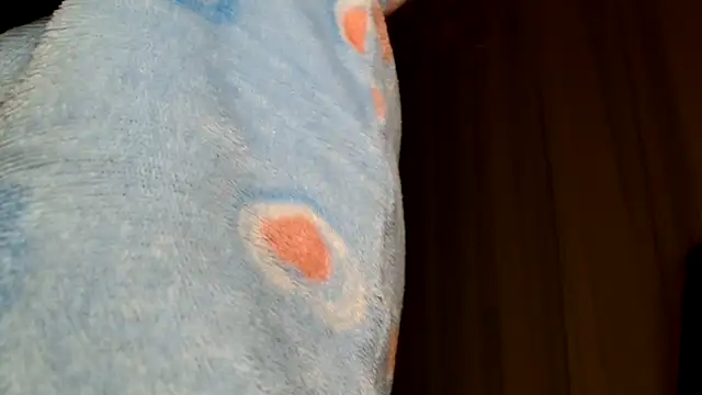 3littles webcam