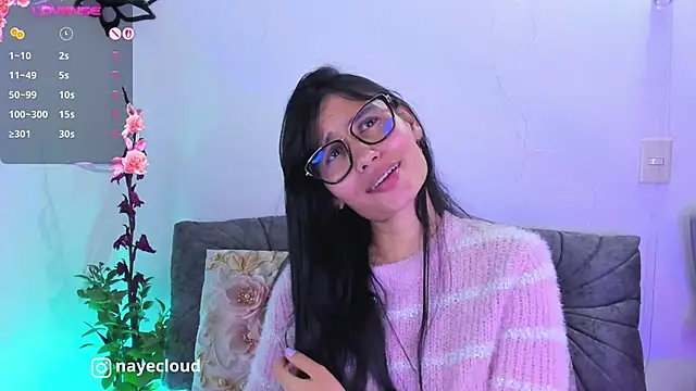 NayeCloud webcam