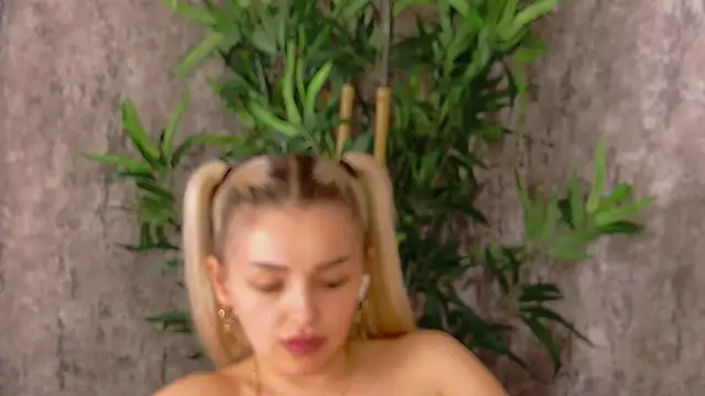 DeeaVIP webcam