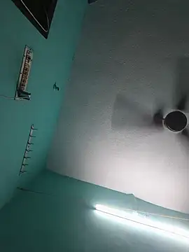 Villageanuty webcam