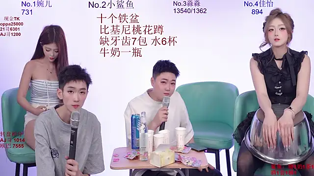 STY_0089 webcam