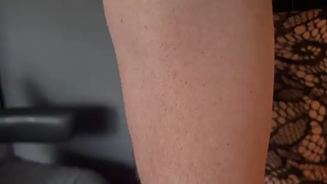 JenaCD webcam